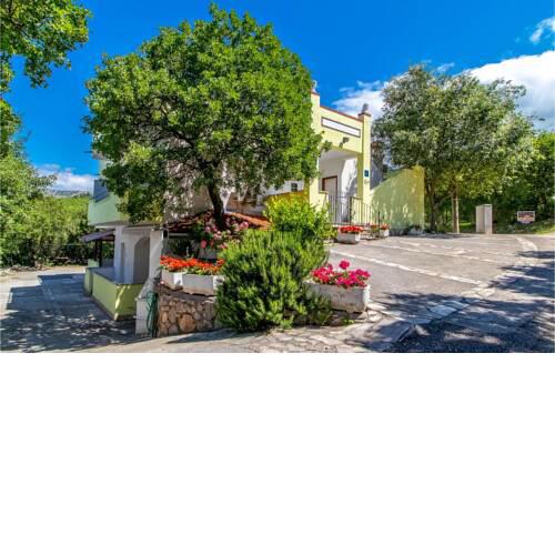 Apartment Miletici Gaj bb IV