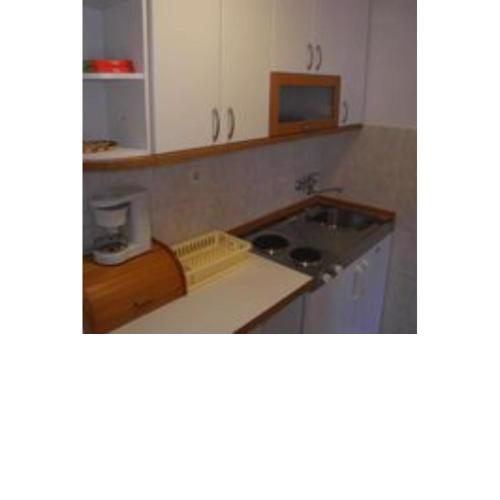 Apartment Milica 21 pax