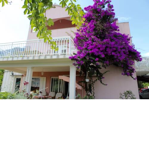 Apartment Mrgudic