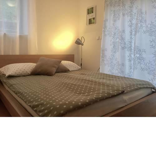 Apartment Muznik