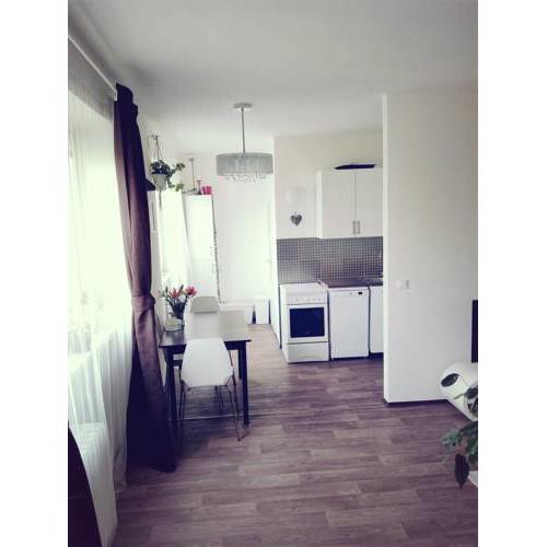 Apartment near city center Prague