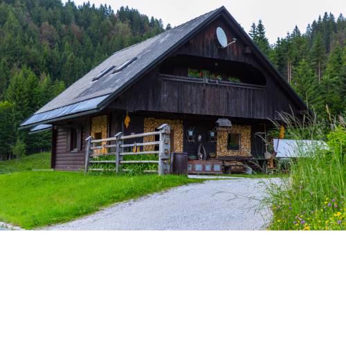 Apartment near Pokljuka
