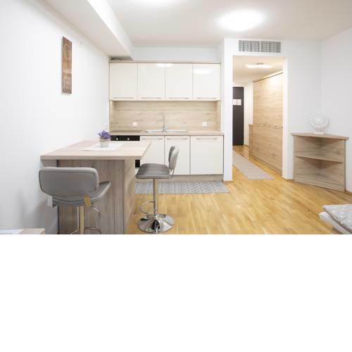 Apartment Novak