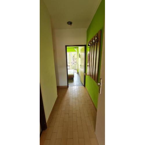 Apartment Novalja