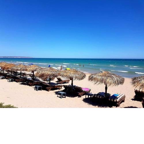 Apartment ODYSSEY La Marina ALICANTE