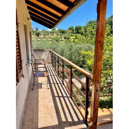 Apartment Olive Grove