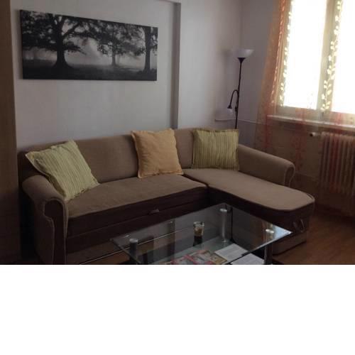 Apartment Ortenova 74