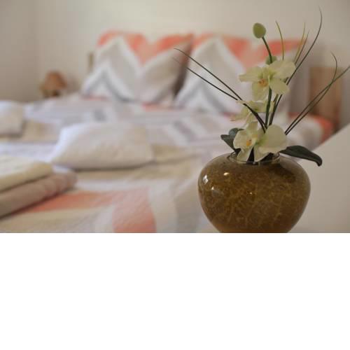 Apartment Palma