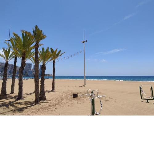 Apartment Palmeras Playa Levante First Line by Interhome
