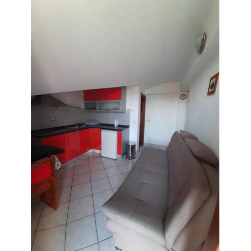 APARTMENT PEDISIć