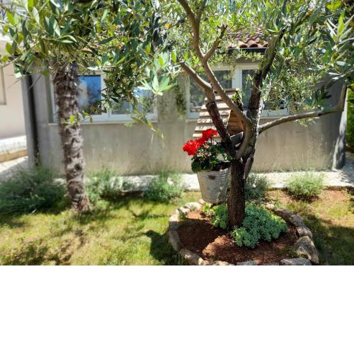 Apartment Pergola