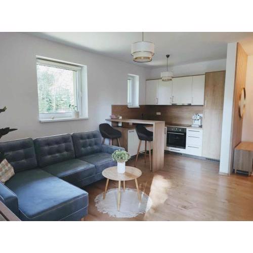 Apartment Phoenix
