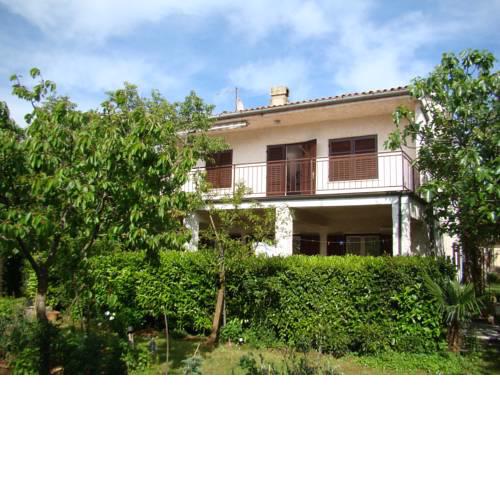 Apartment Pjescana Uvala/Istrien 11408