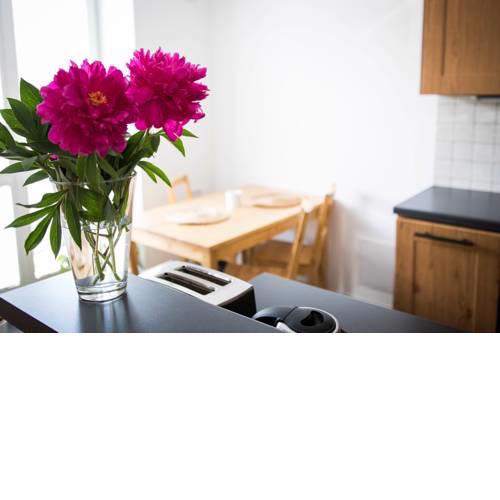 Apartment Poruba *Free Wifi*