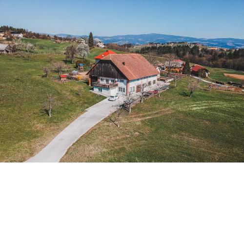Apartment pri Povhih
