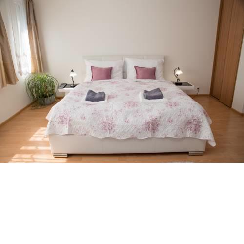 Apartment Prosek
