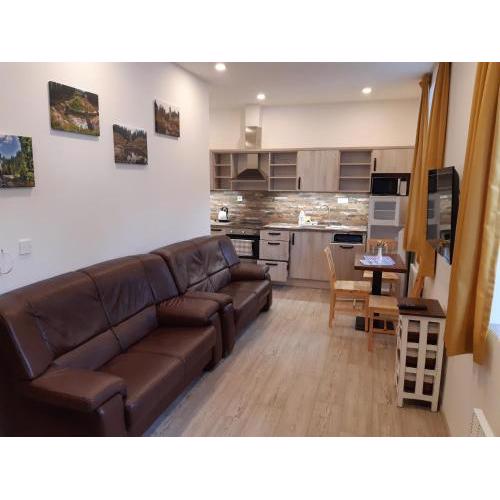 Apartment Protržená přehrada Bílá Desná by Interhome