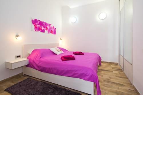 Apartment Radiant Orchid