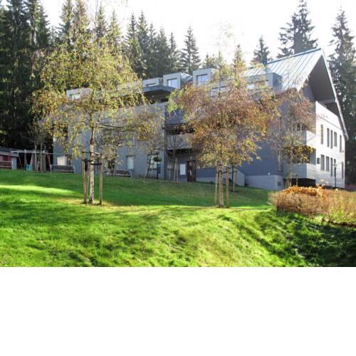 Apartment Resident Harrachov B (HRA170)