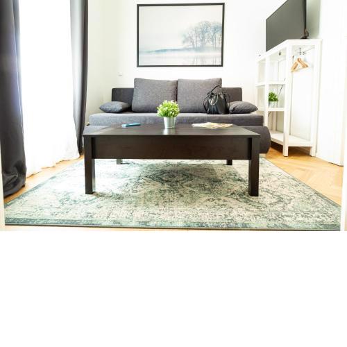 Apartment Ruedigergasse mini