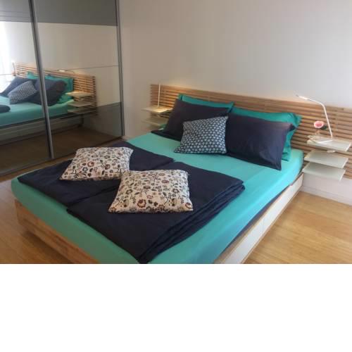 Apartment Saax