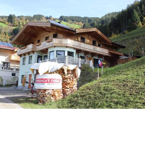 Apartment Schragl 2