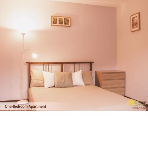Apartment Slavia