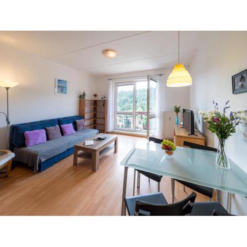 Apartment Sluneční stráň IV by Interhome