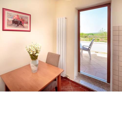 Apartment Stari Brist