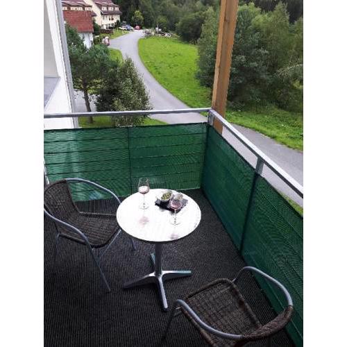 Apartment Stožec