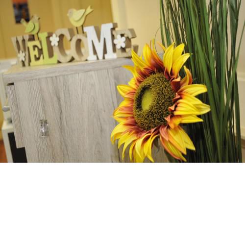 Apartment Sunflower