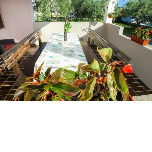 Apartment Sunny Terrace