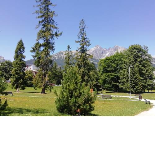 Apartment Tatra