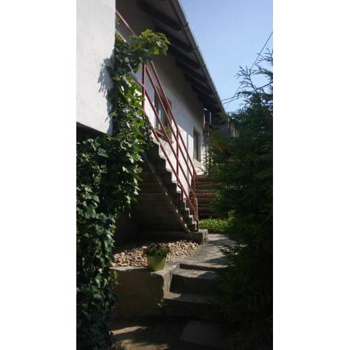 Apartment Těchov