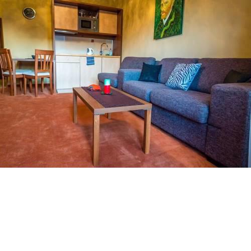 Apartment Termálna