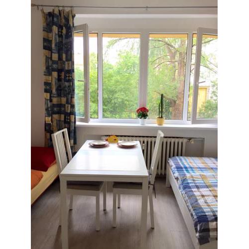 Apartment U Gymnazia Irina