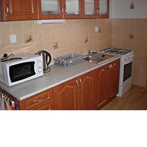 Apartment U Semushki 2