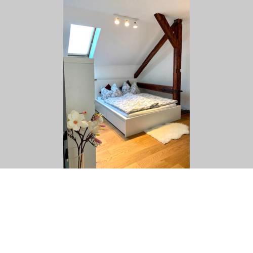 Apartment über den Dächern von Graz