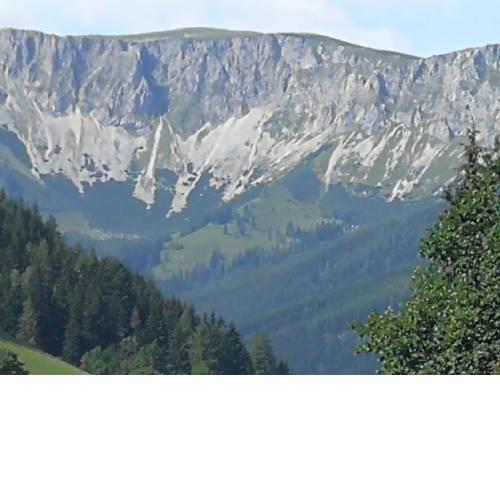 Apartment Veitschblick
