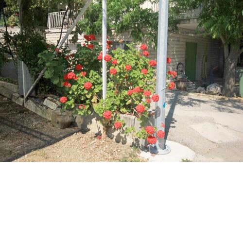 Apartment Viganj 633d