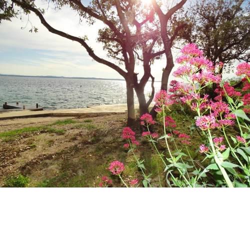 Apartment Vlahov - [#128033]