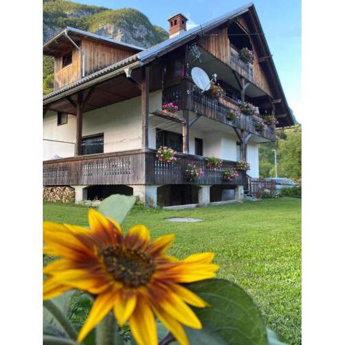 Apartment V&N, LAKE BOHINJ