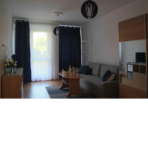 Apartment with swing