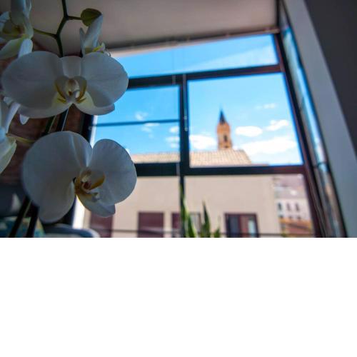 Apartment with terrace in Malaga Center
