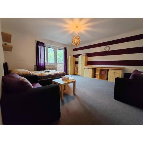 Apartment with the view to scenary near Brno reservoir