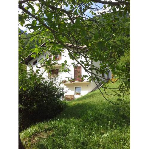 Apartment Zadraga