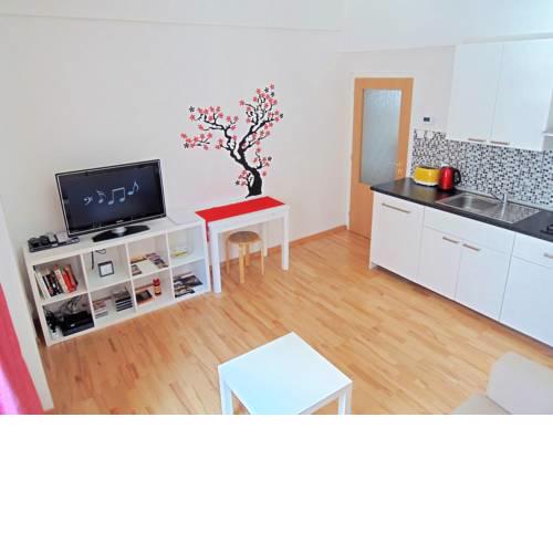 Apartment Žižkov