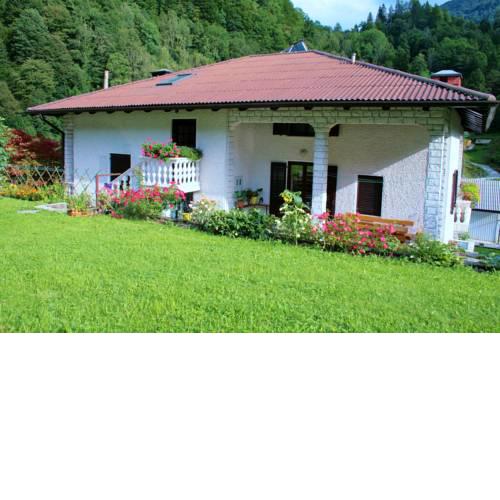 Apartment Zver