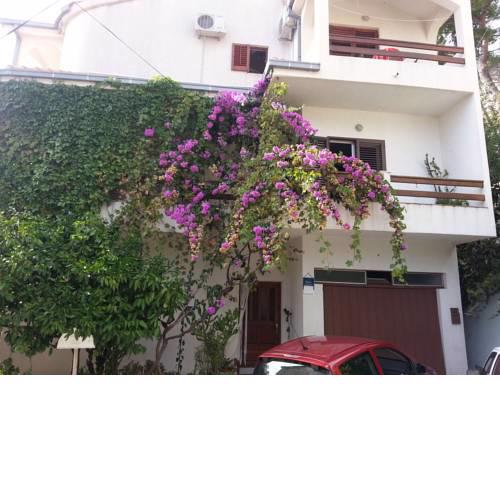 Apartment Zvone