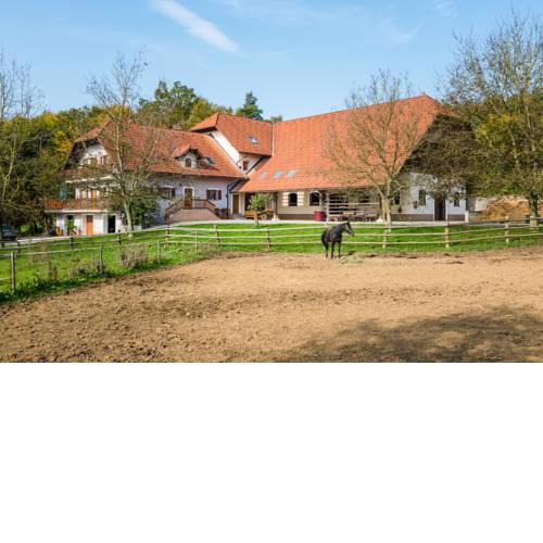 APARTMENT ZYNGA - STUD FARM